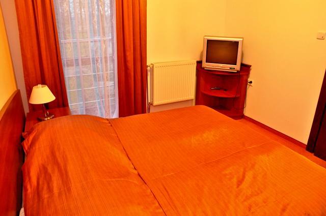 Hotel Pod Debami テレスポル 部屋 写真